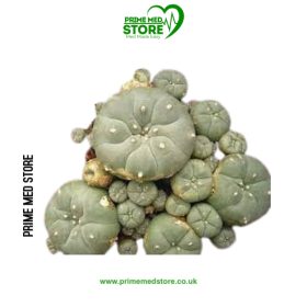Mescaline 200mg (Capsules) (sold in bottles, 10-capsule bottle)