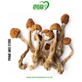 Psilocybin Mushrooms (Dry) - 3g (sold in 3g bag)